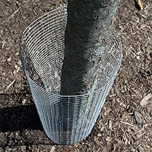 2fe334fe-dbb7-4539-8624-cfe7357b62b9._SL220__ Galvanized Welded Wire Mesh